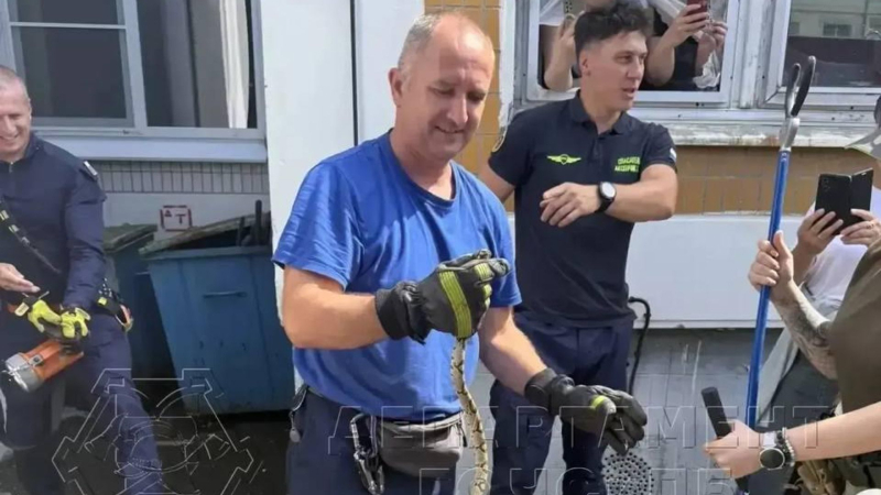 Змея, пойманная на территории детского сада на юго-западе Москвы