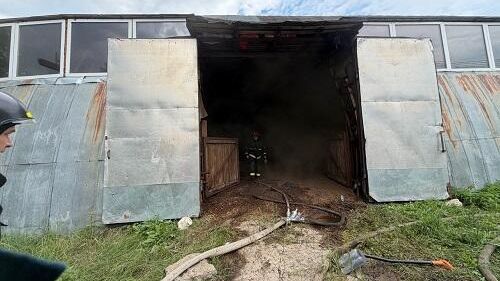 На месте пожара в конюшне в Нижнем Новгороде. 29 июля 2026