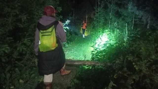 Спасатели и волонтеры в Свердловской области на поисках женщины с деменцией