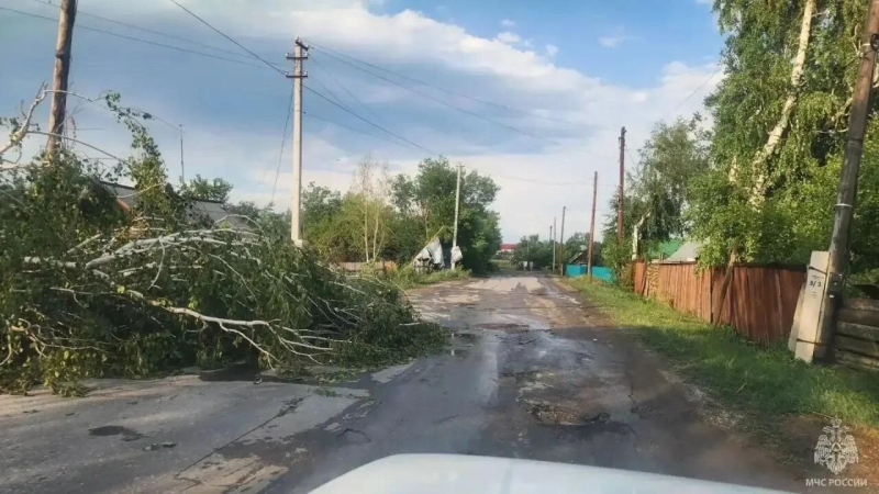 Последствия ураганного ветра в Алтайском крае 
