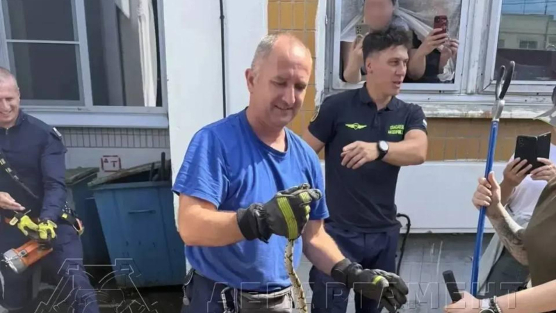 Змея, пойманная на территории детского сада на юго-западе Москвы