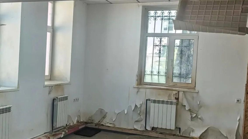 Условия содержания енотов в Енотокафе Лесная братва в Екатеринбурге 