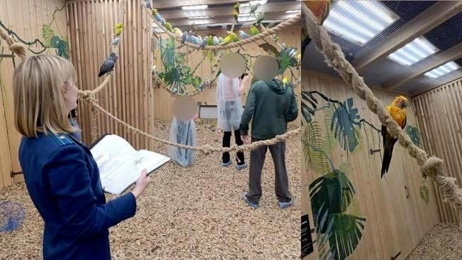 Работа Прокуратуры на месте обнаружения попугаев в морозильной камере в антикафе 