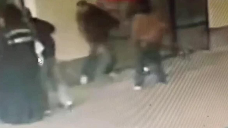Кадр видео нападения на двух прохожих в Москве